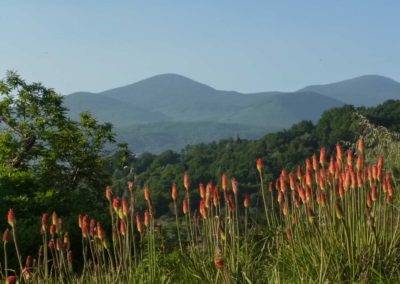 Tuscany Toscana Host your Retreat Italy